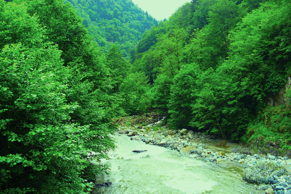Çağlayan Vadisi