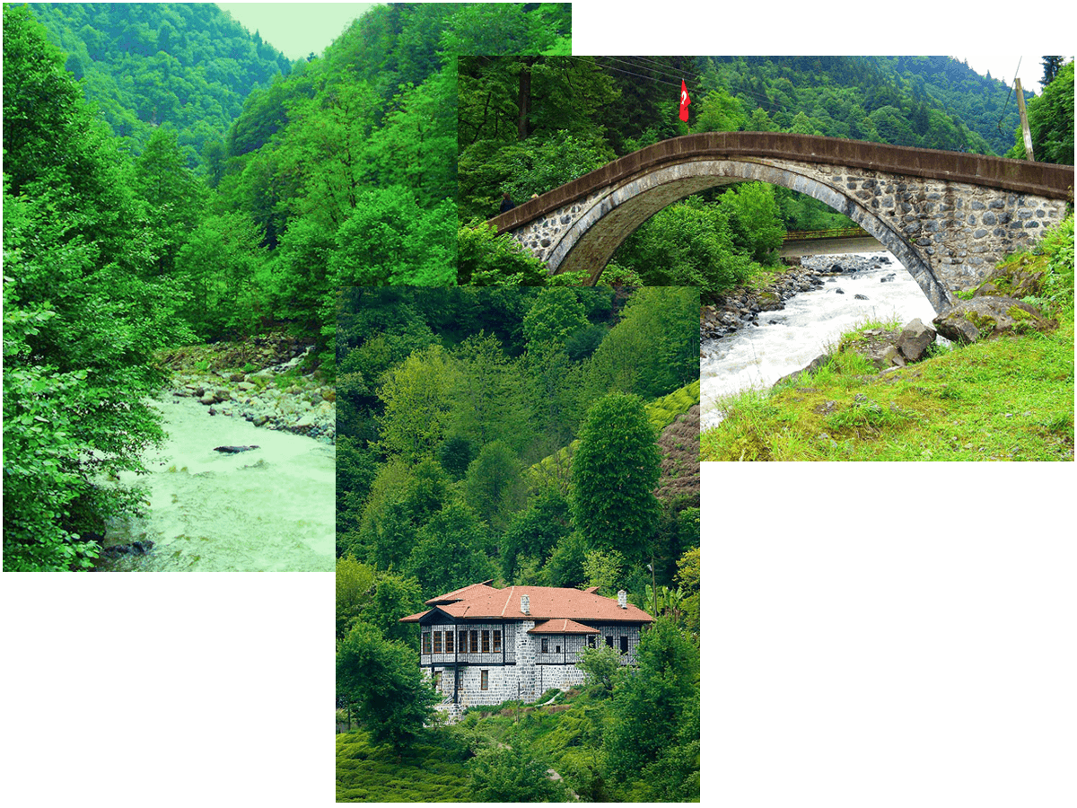 Çağlayan Vadisi